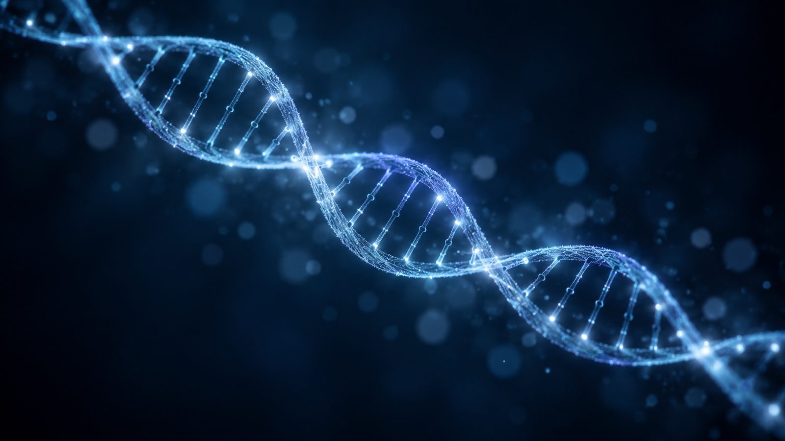 The MTHFR Connection